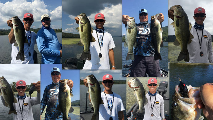 Fall Fishing is HERE! Guntersville Frog Fishing, Flipping, and True Bass Swimbaits