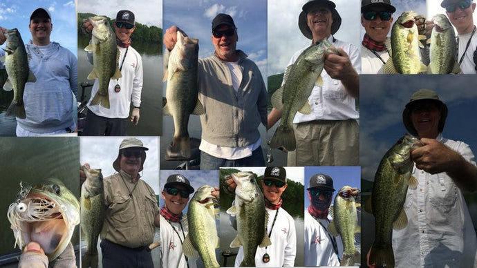 Swimbaits for Shad Spawn on Lake Guntersville