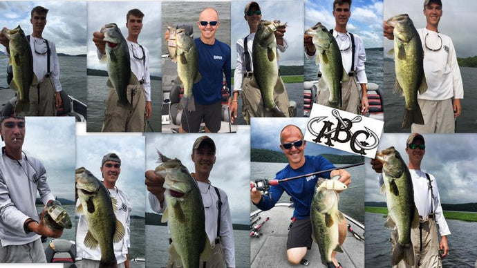 Early June Bullshad - Lake Guntersville 2015