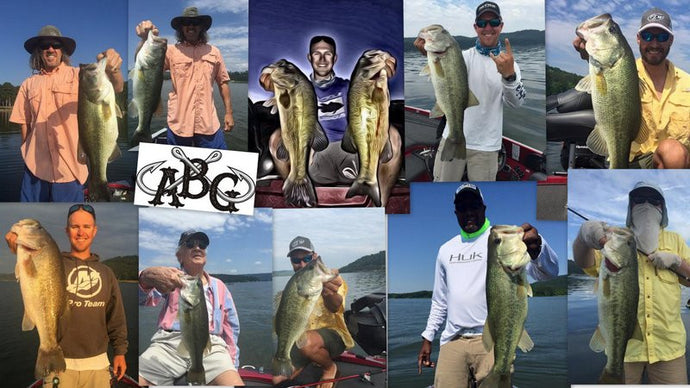 Ledge Fishing Guntersville 101 - June 2016