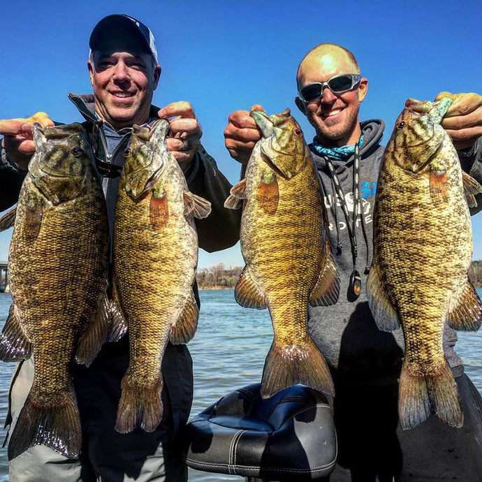 Pickwick Smallmouth Fishing - Turning On