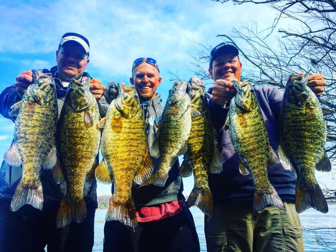 Trophy Pickwick Smallmouth Fishing - True Bass Swimbaits