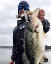 Full Day Fishing Trip $600