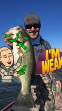 Full Day Fishing Trip $600