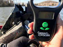 Full Day Fishing Trip $600