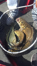 Half Day Fishing $400 (4 hours)