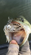 Full Day Fishing Trip $600