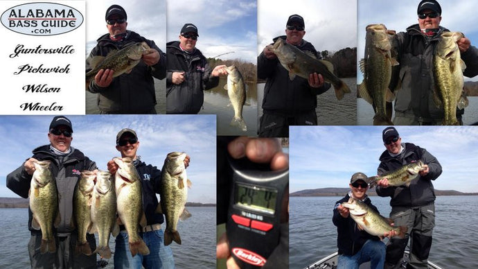 Best Day Ever on Guntersville Lake 33lbs - March 4, 2014
