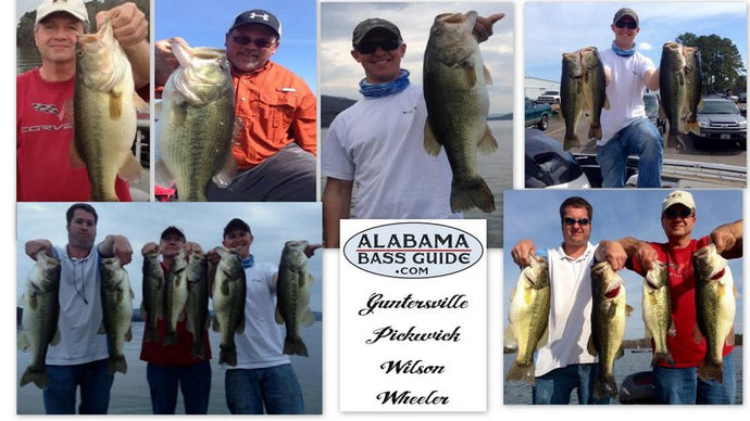 Guntersville Jigs on Fire! March 14, 2014