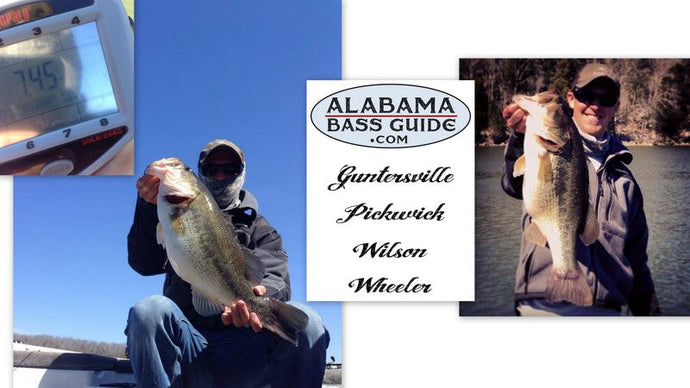 Giant Guntersville Bass - March 21, 2014