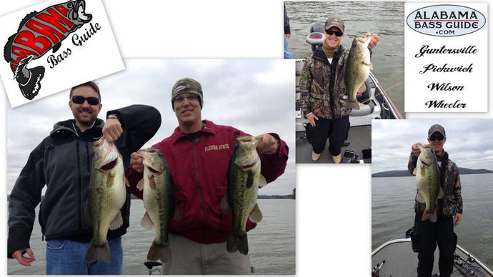 Lake Guntersville Toad Trip - 4HR March 24, 2016