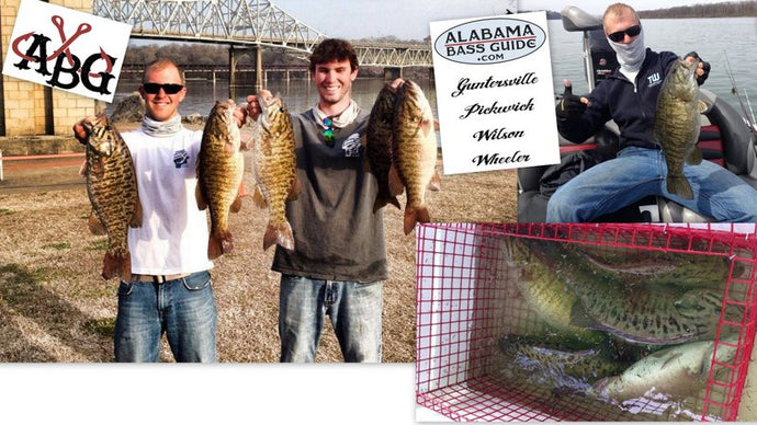 21.55lb bag of Smallmouth in Pickwick Lak ABT - 6th Place
