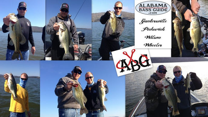 Swimbait Kickers on Guntersville - April 7, 2014