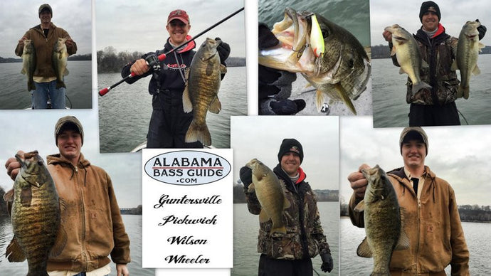 Smallmouth Pickwick Donkeys - December 21, 2014