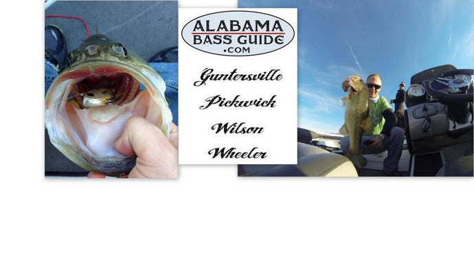 Alabama Bass Trail Guntersville Practice - February 3, 2014