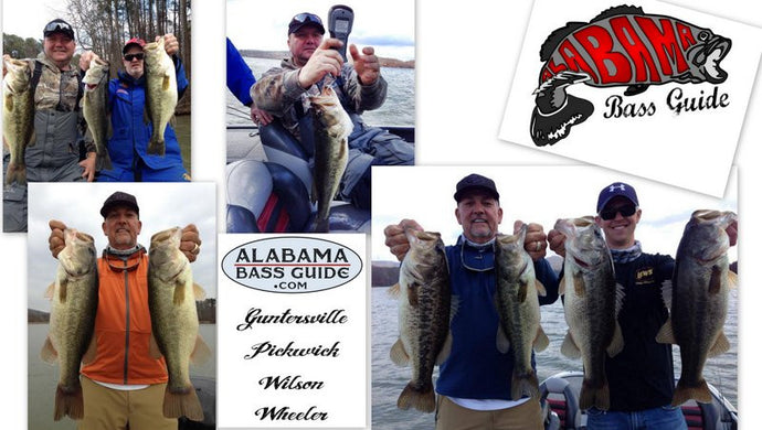 Guntersville Lake Warm up- Pre Bassmaster Classic Report - February 24, 2014